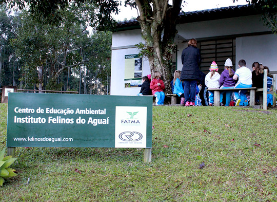 Projeto Felinos do Aguaí - Santa Catarina - Brasil
